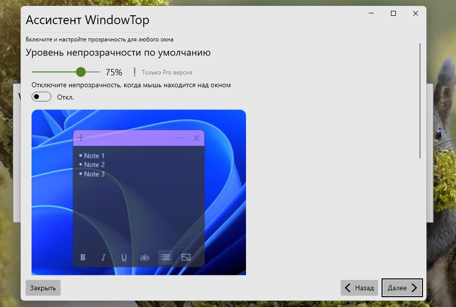 WindowTop — изображение 2