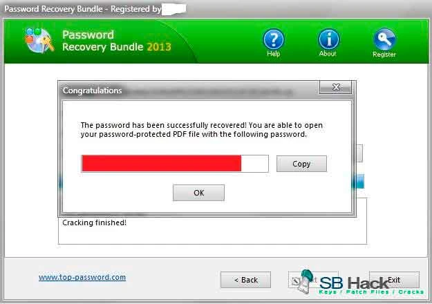 Password Recovery Bundle — изображение 1