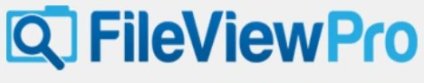FileViewPro 1.9 Gold Edition Rus + Ключ